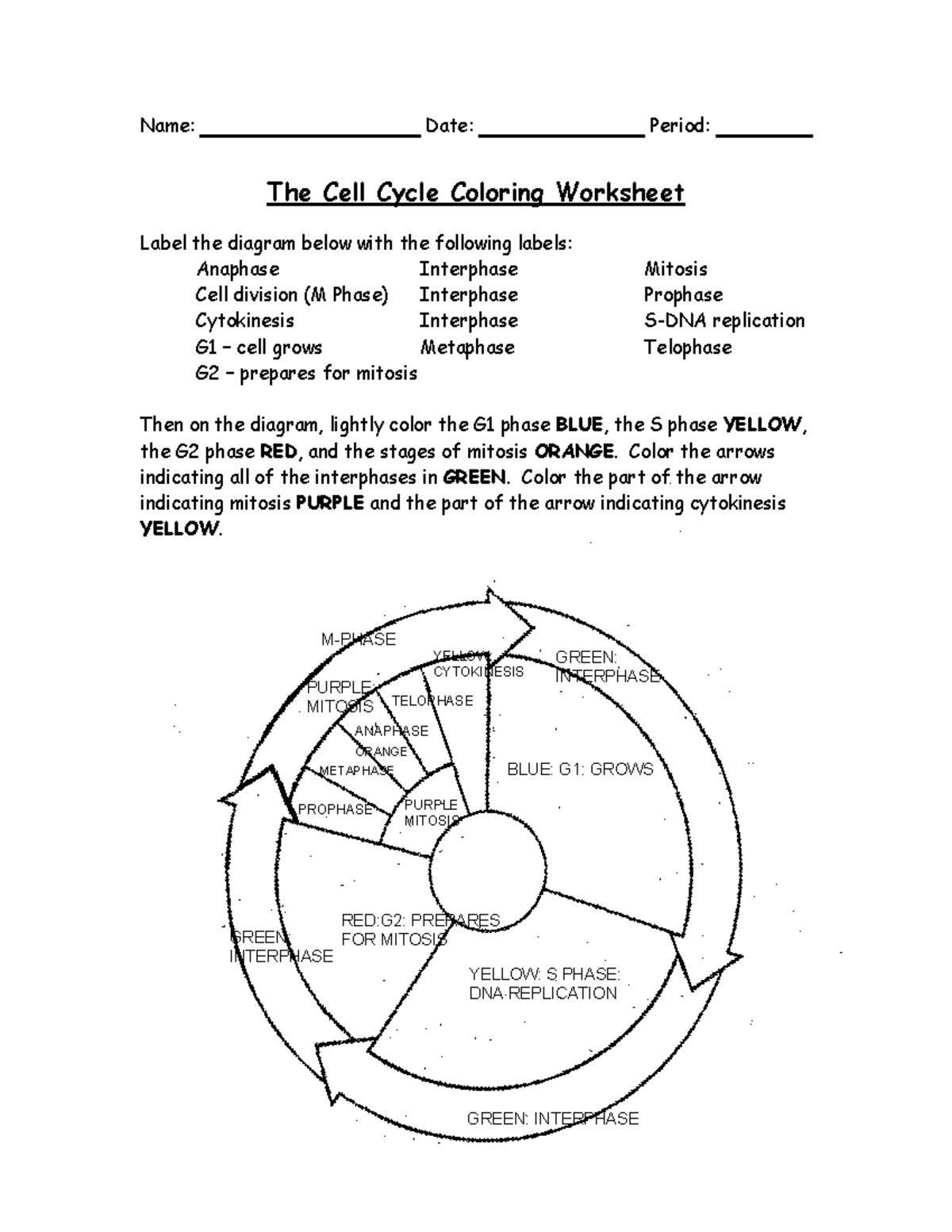 10 Cells Name Date Period The Cell Cycle Coloring Worksheet Label The Diagram Below With The Studocu 10 Cells Name Date Period The Cell Cycle Coloring Worksheet Label The Diagram Below With The Studocu