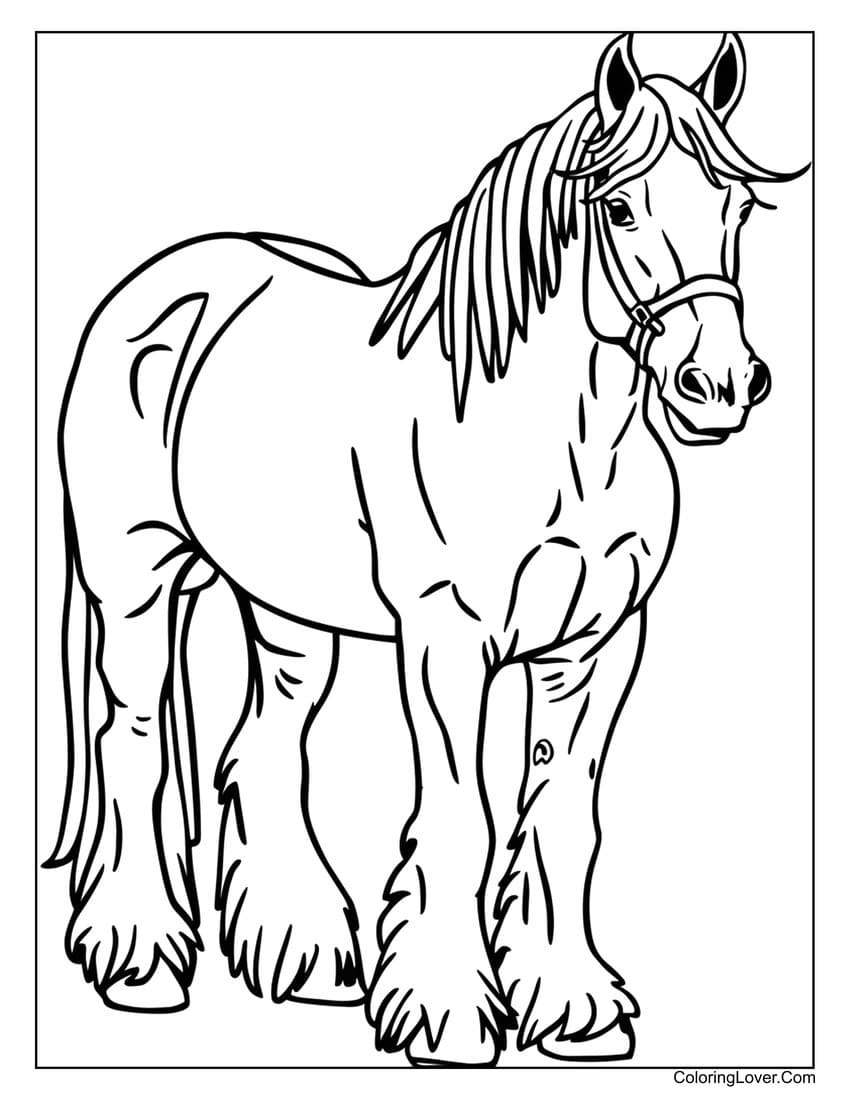 coloring pages horses printable