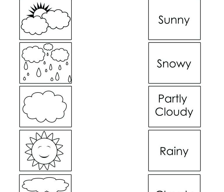1st Grade Science Worksheets TurtleDiary Worksheets Library Worksheets Library