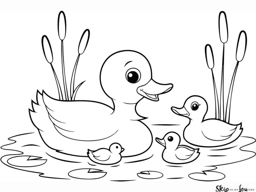 20 Duck Coloring Pages Fun Duck Facts