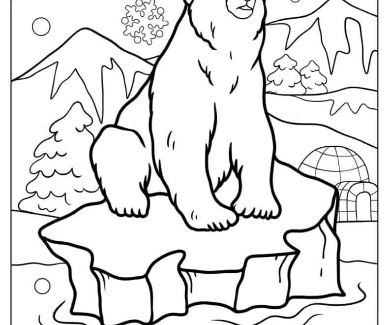 29 Polar Bear Coloring Pages Free PDF Printables