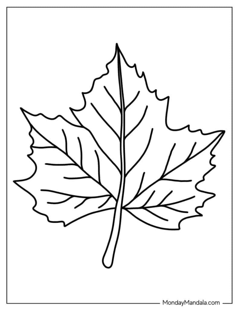 leaves coloring pages printable leaves coloring pages printable