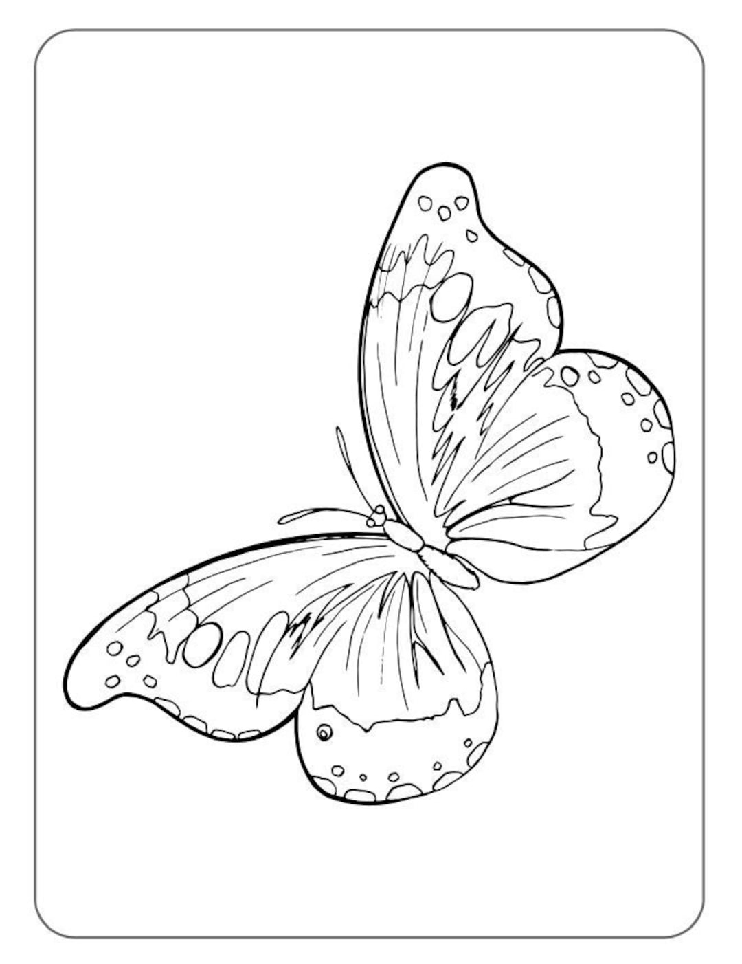 printable butterflies to color printable butterflies to color