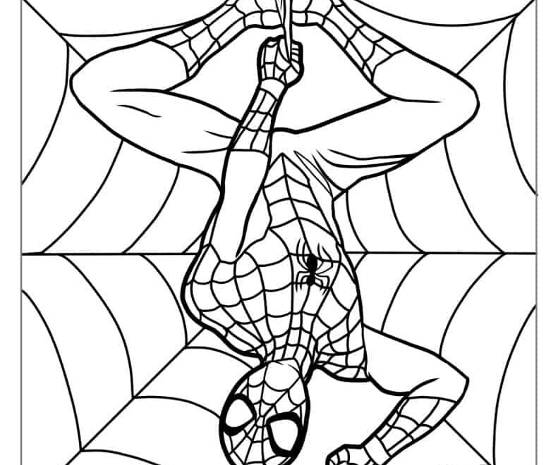 40 Spider Man Coloring Pages Free PDF Printables