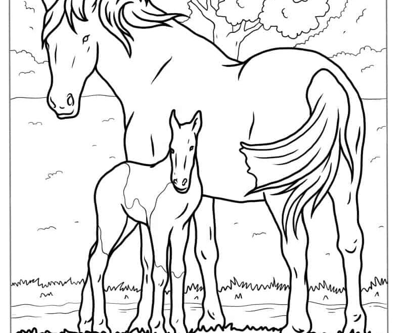 44 Horse Coloring Pages Free PDF Printables