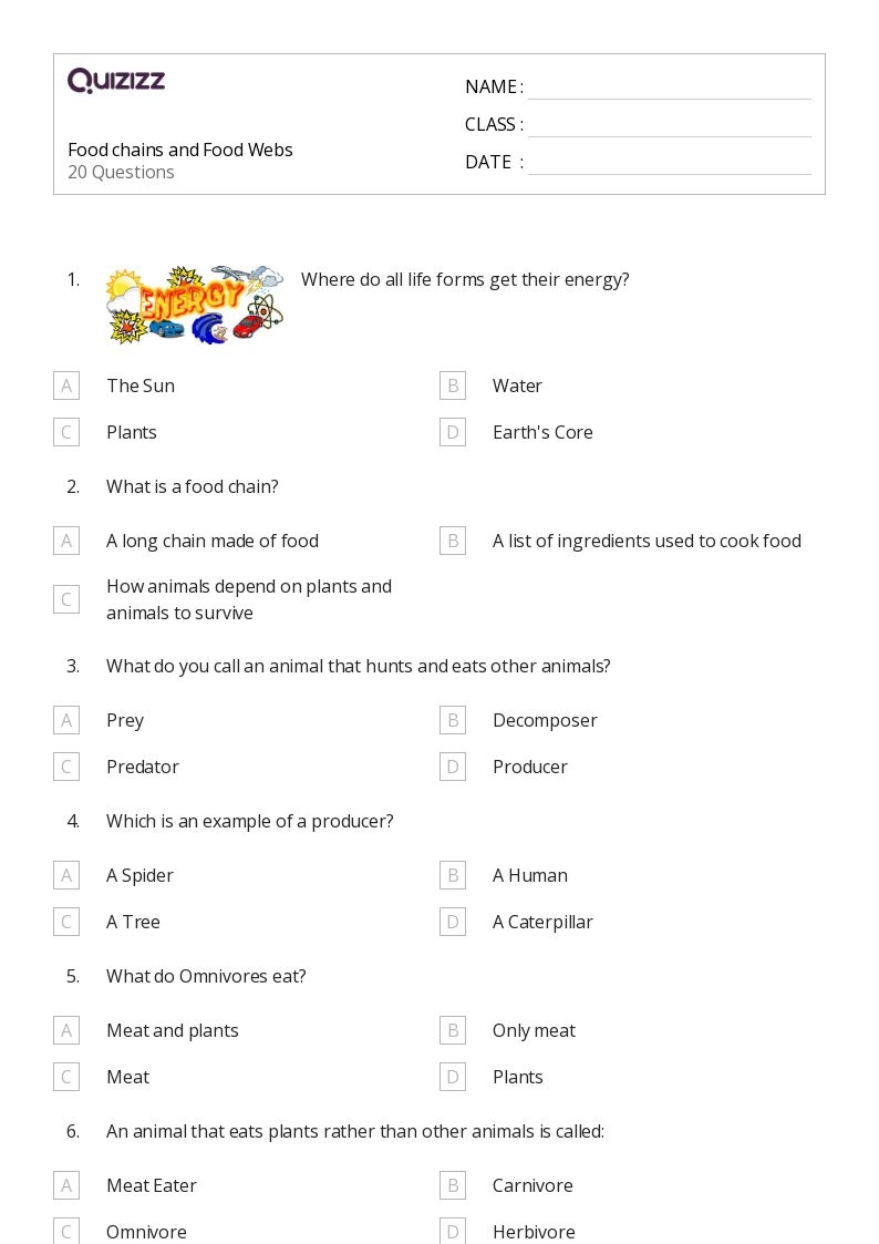 3rd class science worksheets 3rd class science worksheets