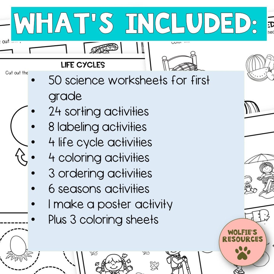 50 Science Printable Worksheets For First Grade And Homeschool Etsy 50 Science Printable Worksheets For First Grade And Homeschool Etsy