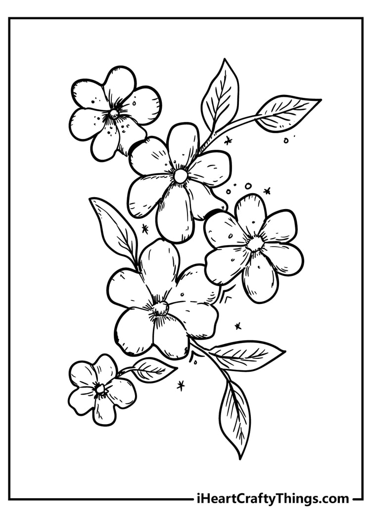 flower printable colouring pages