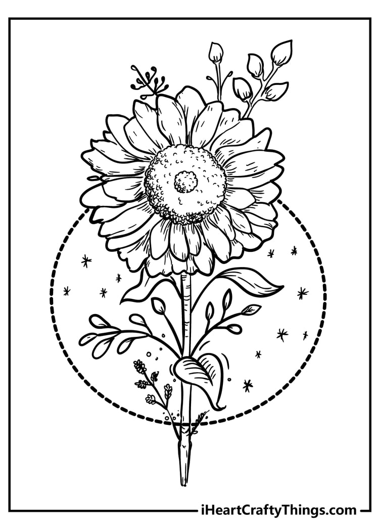 printable colouring pages flowers