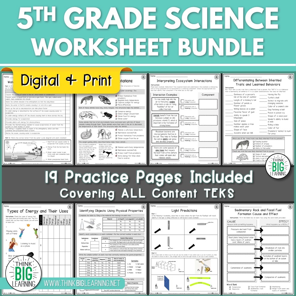 5th grade science worksheets