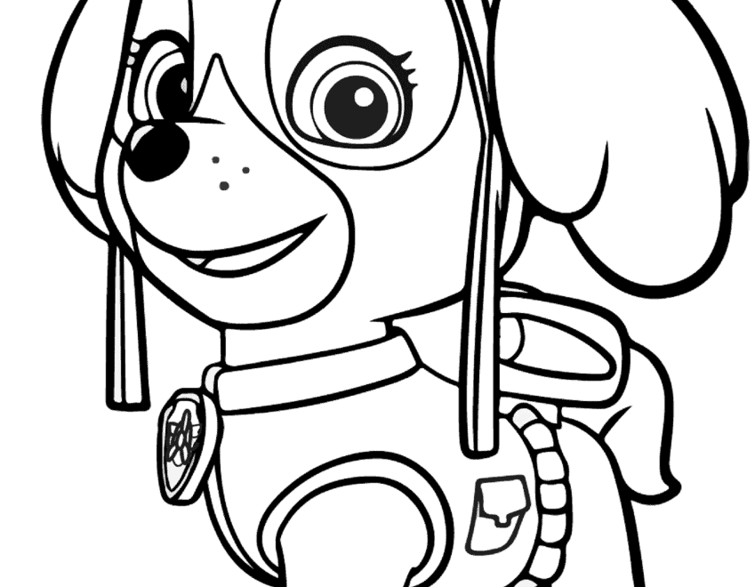 60 Cute Paw Patrol Skye Coloring Pages Free Artsy Pretty Colors
