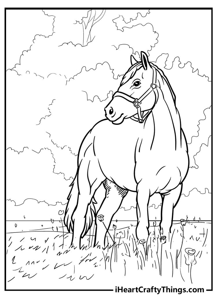 65 Horse Coloring Pages 100 Free Printables 65 Horse Coloring Pages 100 Free Printables