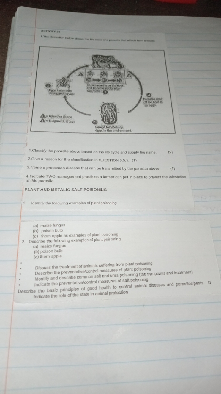 ACTIVITY 28 Parasite Life Cycle And Management The Illustration Below Sh  ACTIVITY 28 Parasite Life Cycle And Management The Illustration Below Sh