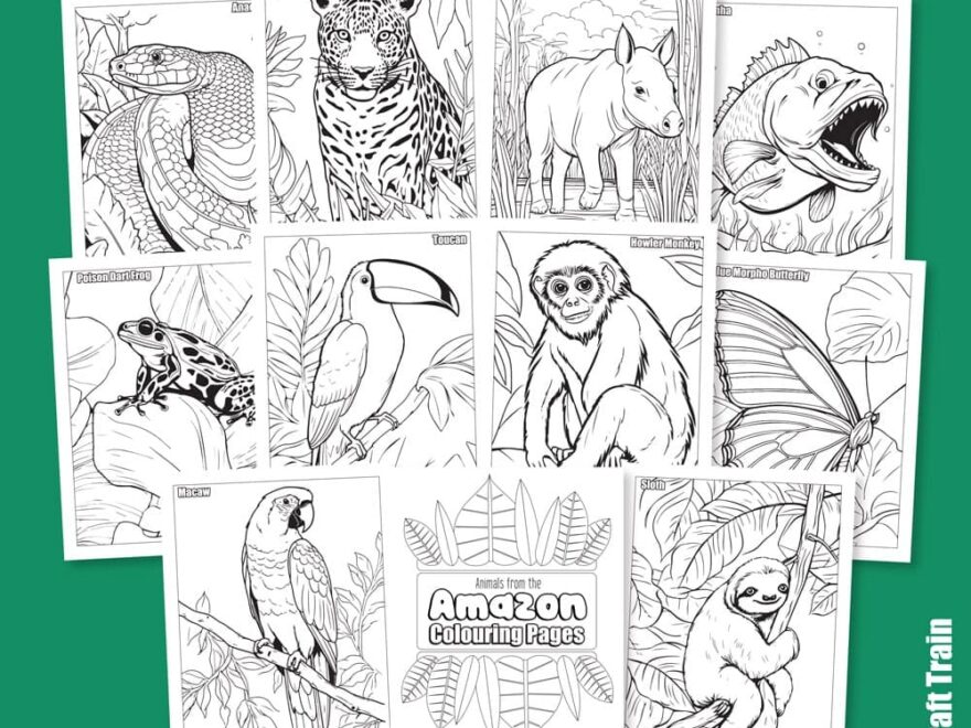 Amazon Animal Colouring Pages The Craft Train