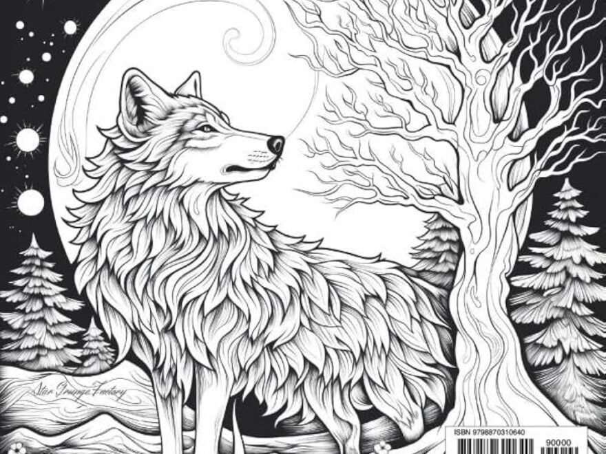 Amazon Wolves Of The Aurora A Fantasy Coloring Book About Wolves 9798870310640 Star Grunge Factory Books