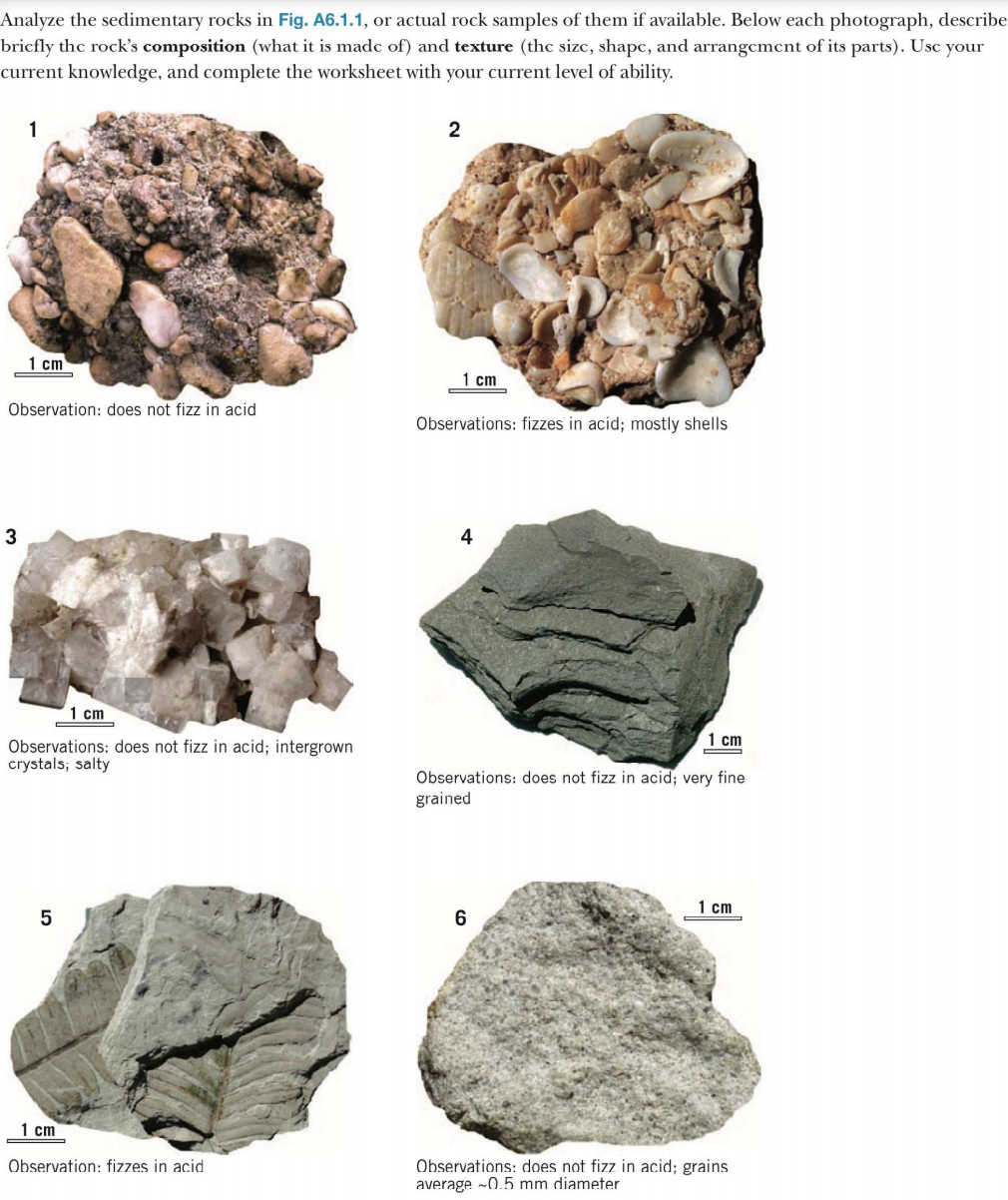 Answered Analyze The Sedimentary Rocks In Fig A6 1 1 Or Actual Rock Samples Of Them If Available Below Each Photograph Describe Bricfly The Rock s Composition what Bartleby Answered Analyze The Sedimentary Rocks In Fig A6 1 1 Or Actual Rock Samples Of Them If Available Below Each Photograph Describe Bricfly The Rock s Composition what Bartleby