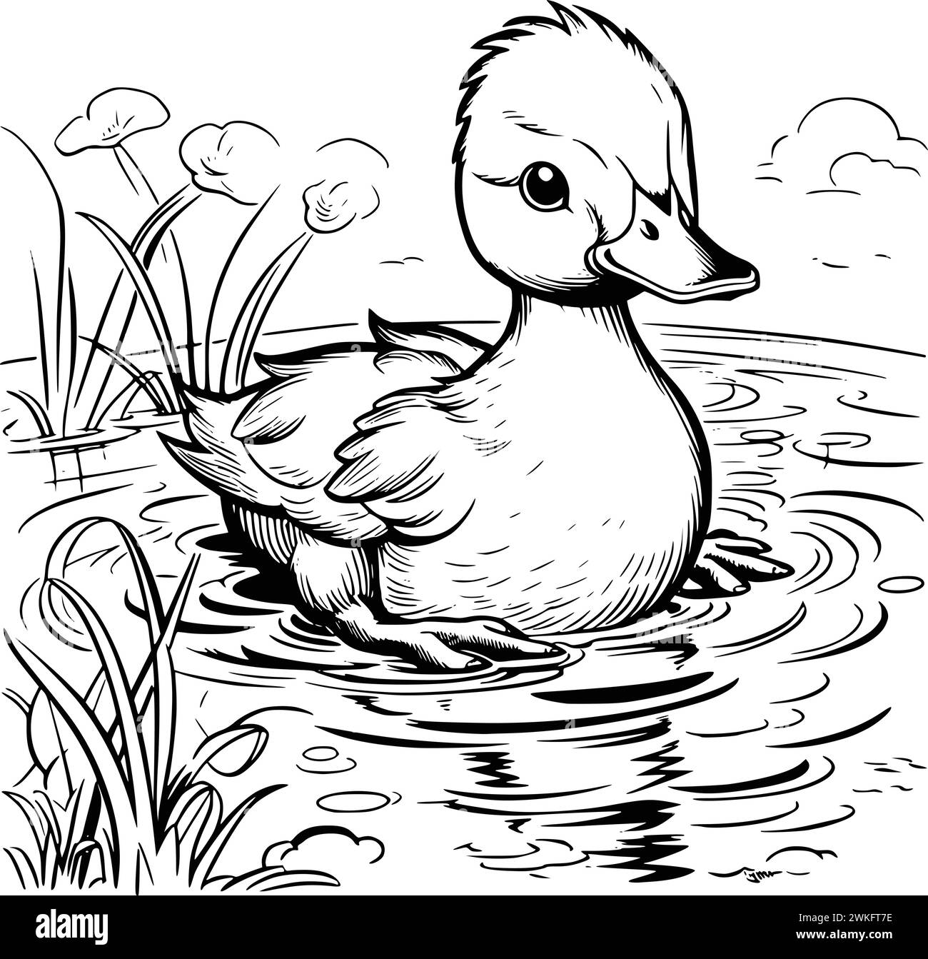 Baby Duckling Coloring Sheet Hi res Stock Photography And Images Alamy