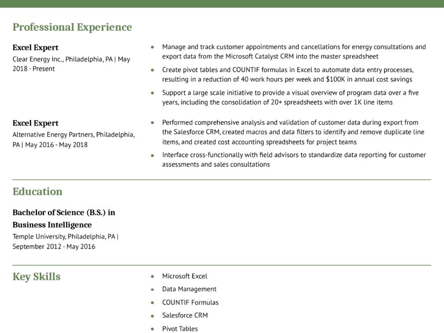 Best Excel Expert Resume Examples And Templates For 2025 ResumeBuilder