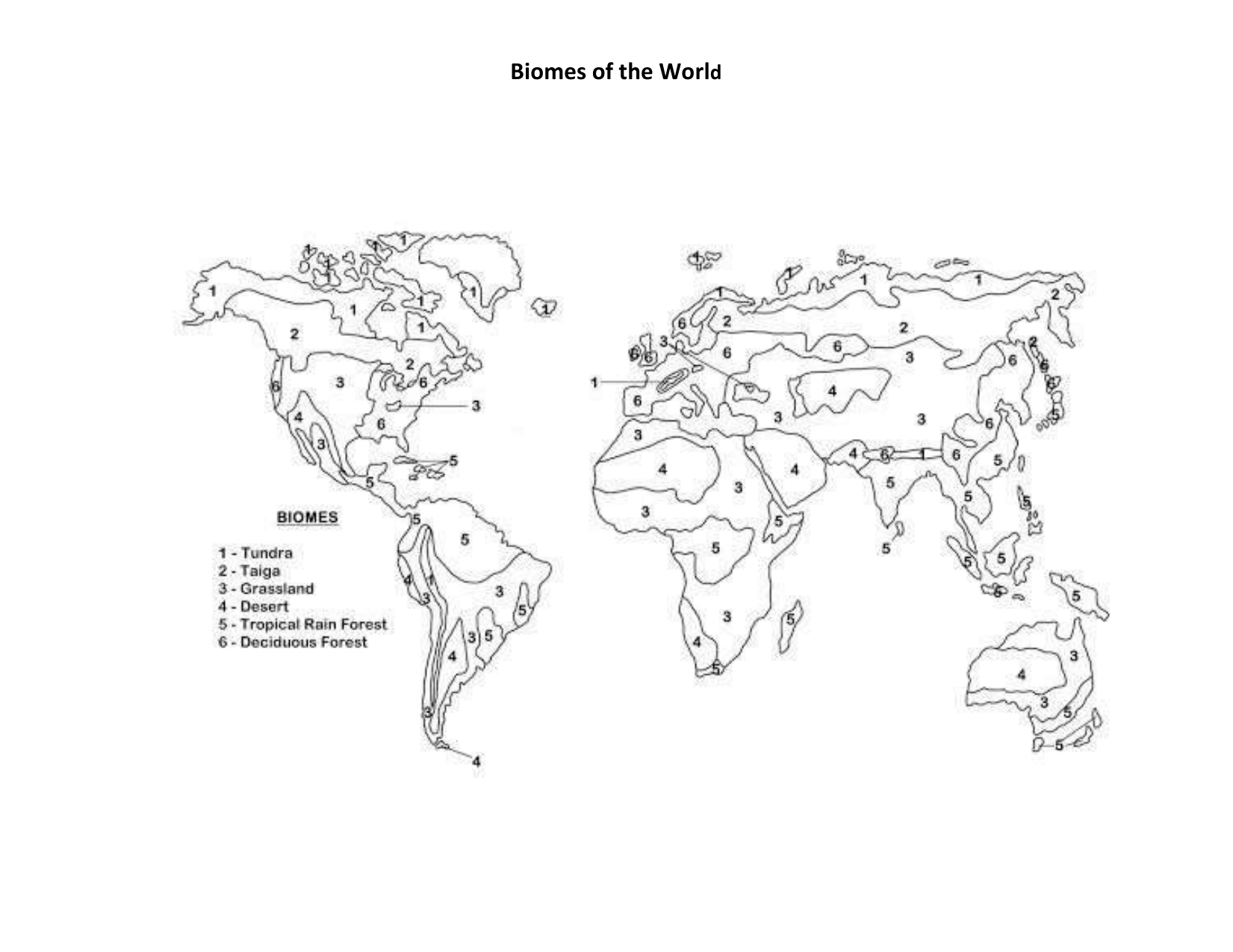 biome map coloring worksheet biome map coloring worksheet