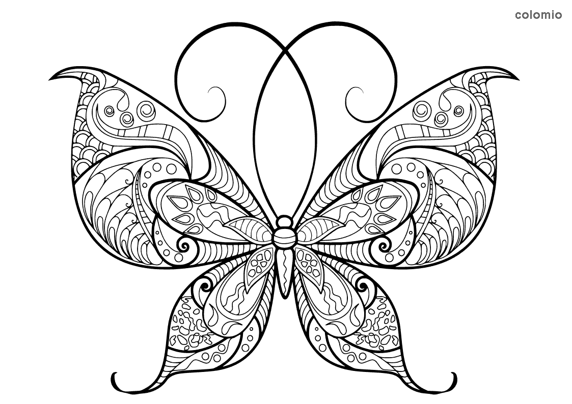 Butterflies Coloring Pages Free Printable Butterfly Coloring Sheets