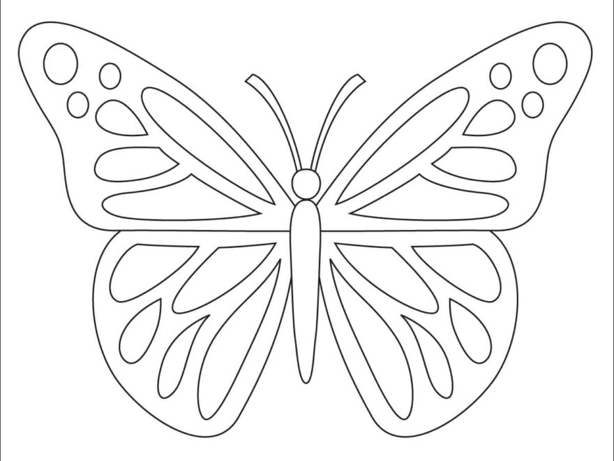 Butterfly Coloring Page Free Printable Sheets For Kids