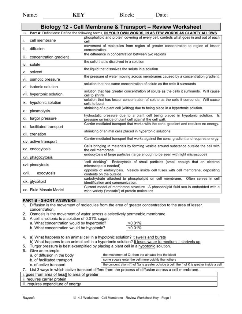 cell transport review worksheet cell transport review worksheet