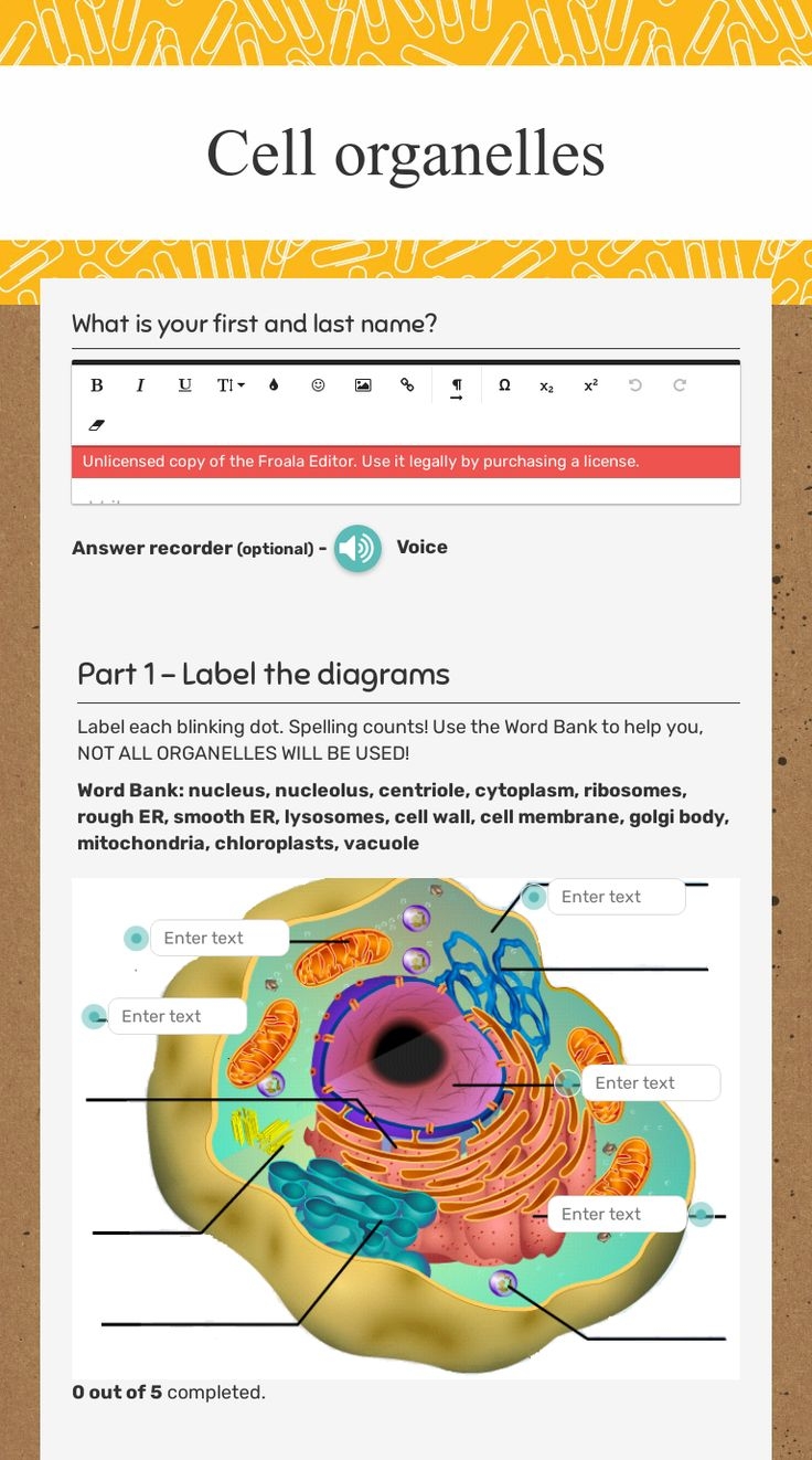 Cell Organelles Worksheet Cell Organelles Organelles Biology Worksheet