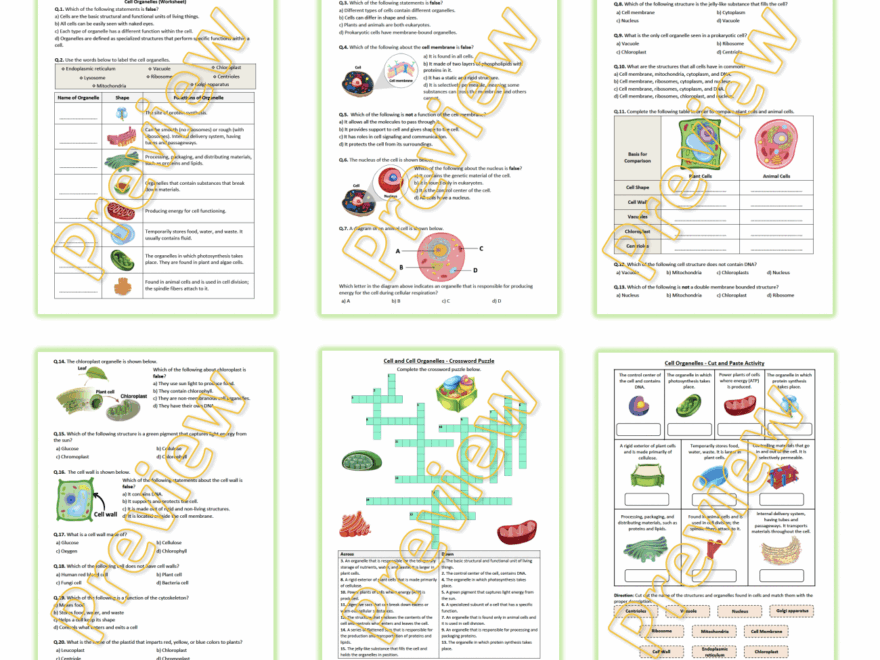 Cell Organelles Worksheet Puzzle Printable And Distance Learning Teaching Resources