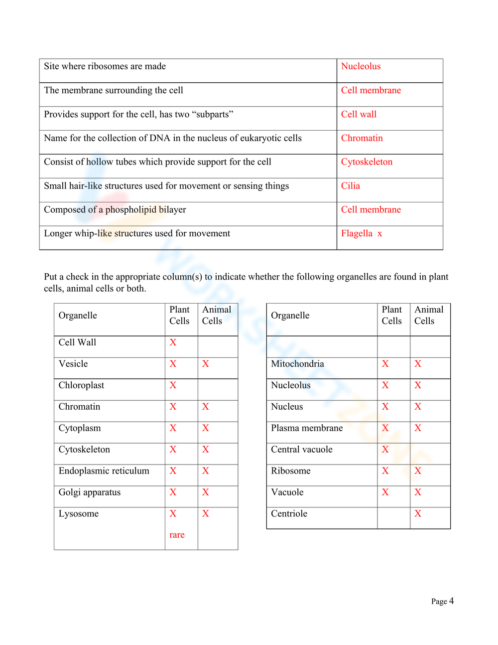 Cell Organelles Worksheets Printable