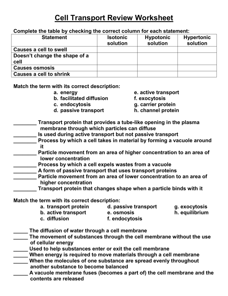 Cell Transport Review Worksheet Biology Practice Cell Transport Review Worksheet Biology Practice