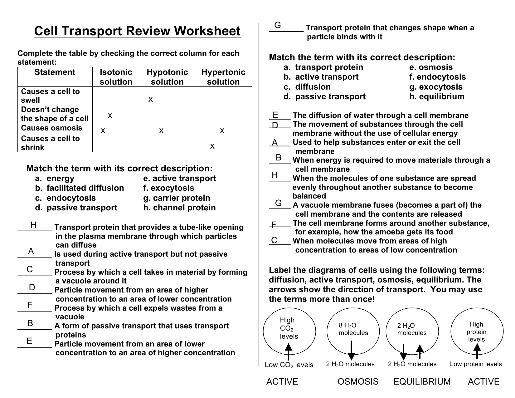 Cell Transport Review Worksheet Osmosis Diffusion Cell Transport Review Worksheet Osmosis Diffusion