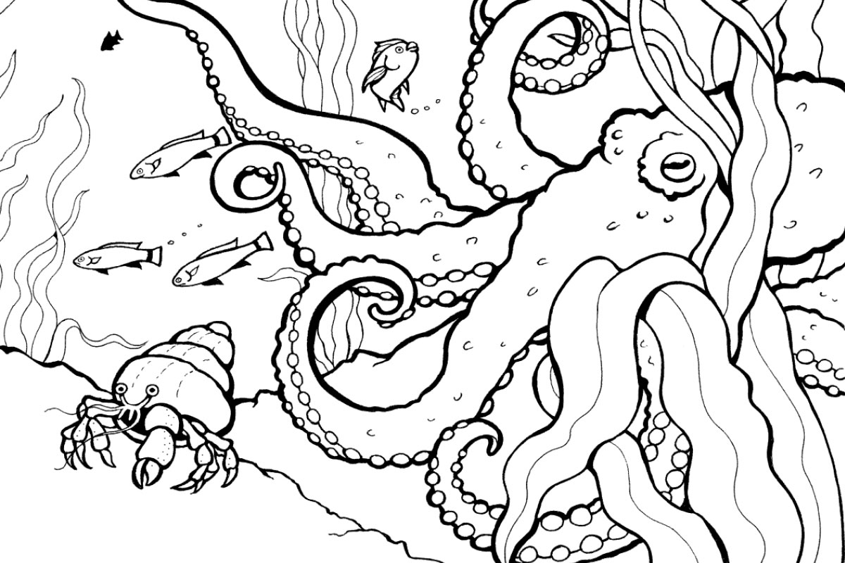 printable coloring sheets animals printable coloring sheets animals