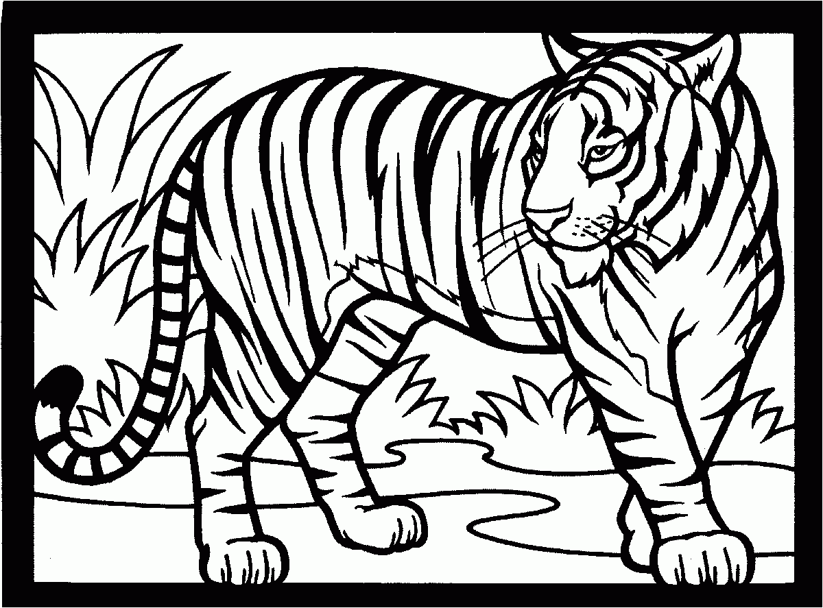 Coloring Pages Out Of Africa Wildlife Park Sanctuary