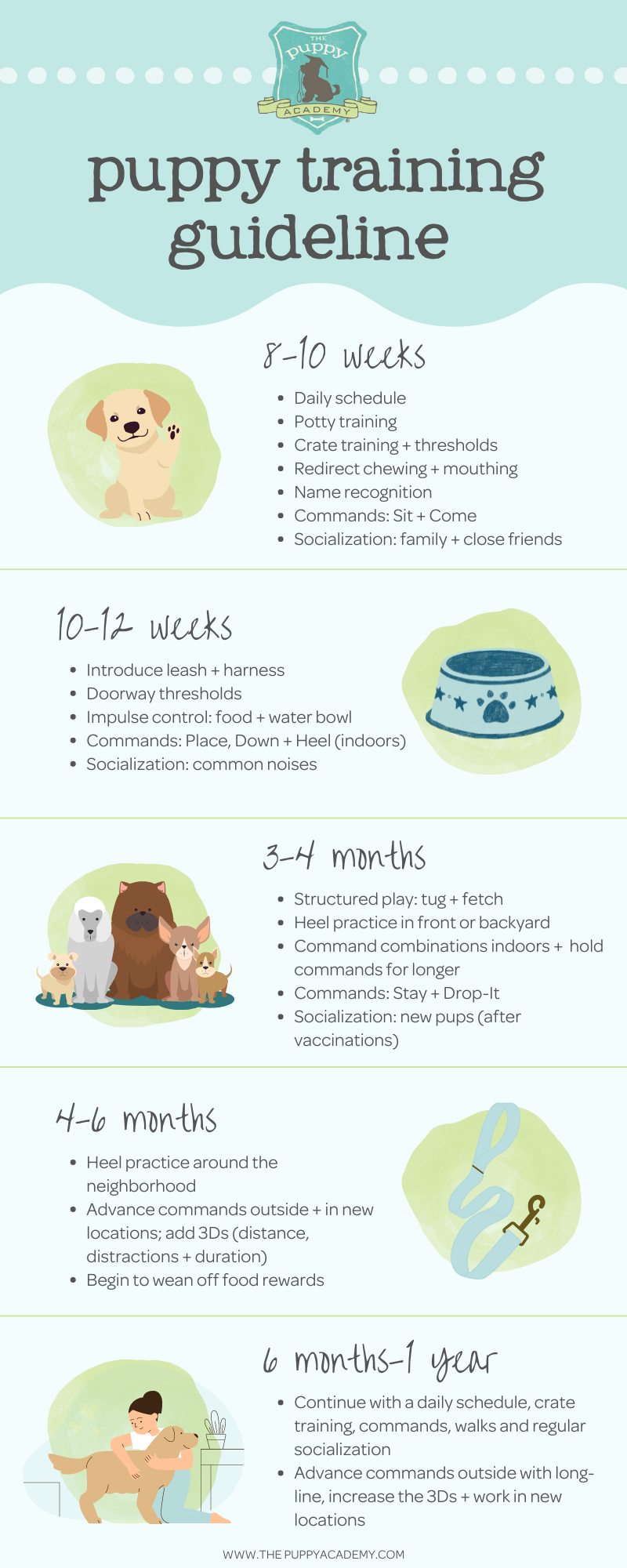 Complete Puppy Training Schedule By Age The Puppy Academy Complete Puppy Training Schedule By Age The Puppy Academy