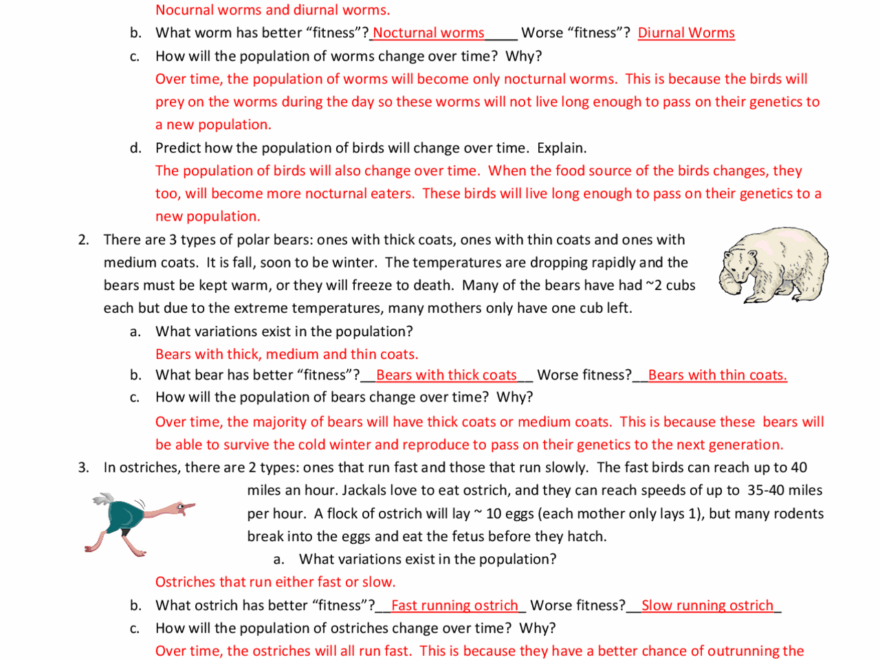 Darwin s Natural Selection Practice Exercises And Questions Exams Genetics Docsity