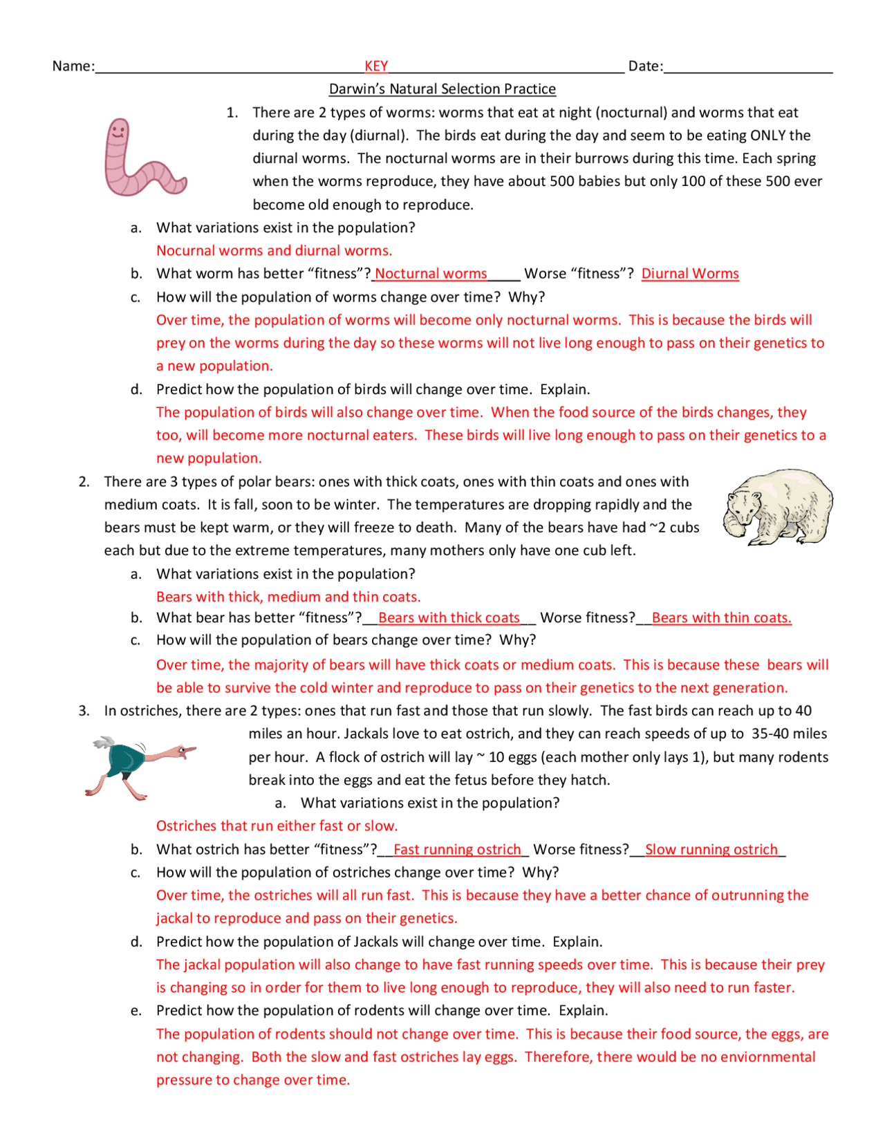 Darwin s Natural Selection Practice Exercises And Questions Exams Genetics Docsity