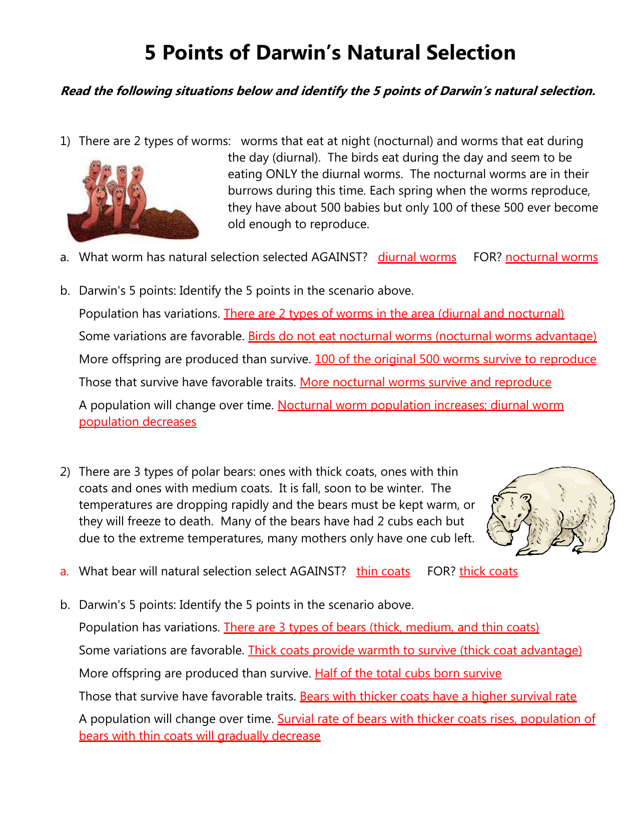 Darwin s Natural Selection Worksheet