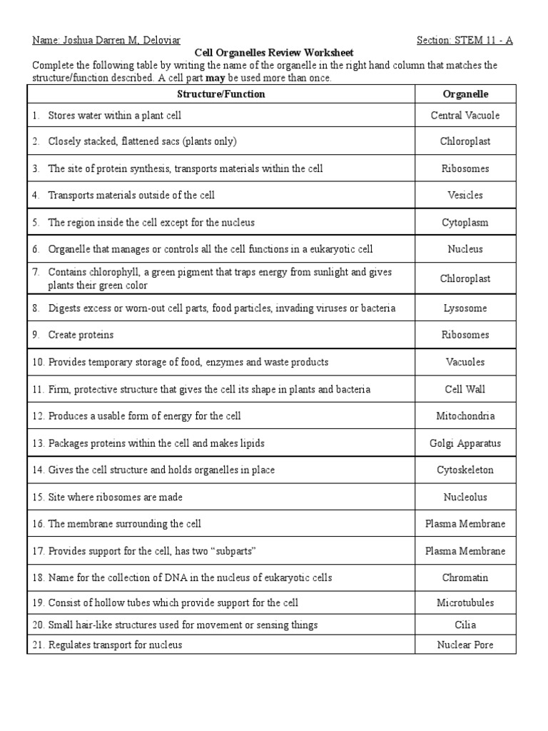 Deloviar Cell Organelle Review Worksheet 1 PDF Cell Biology Worksheets Library