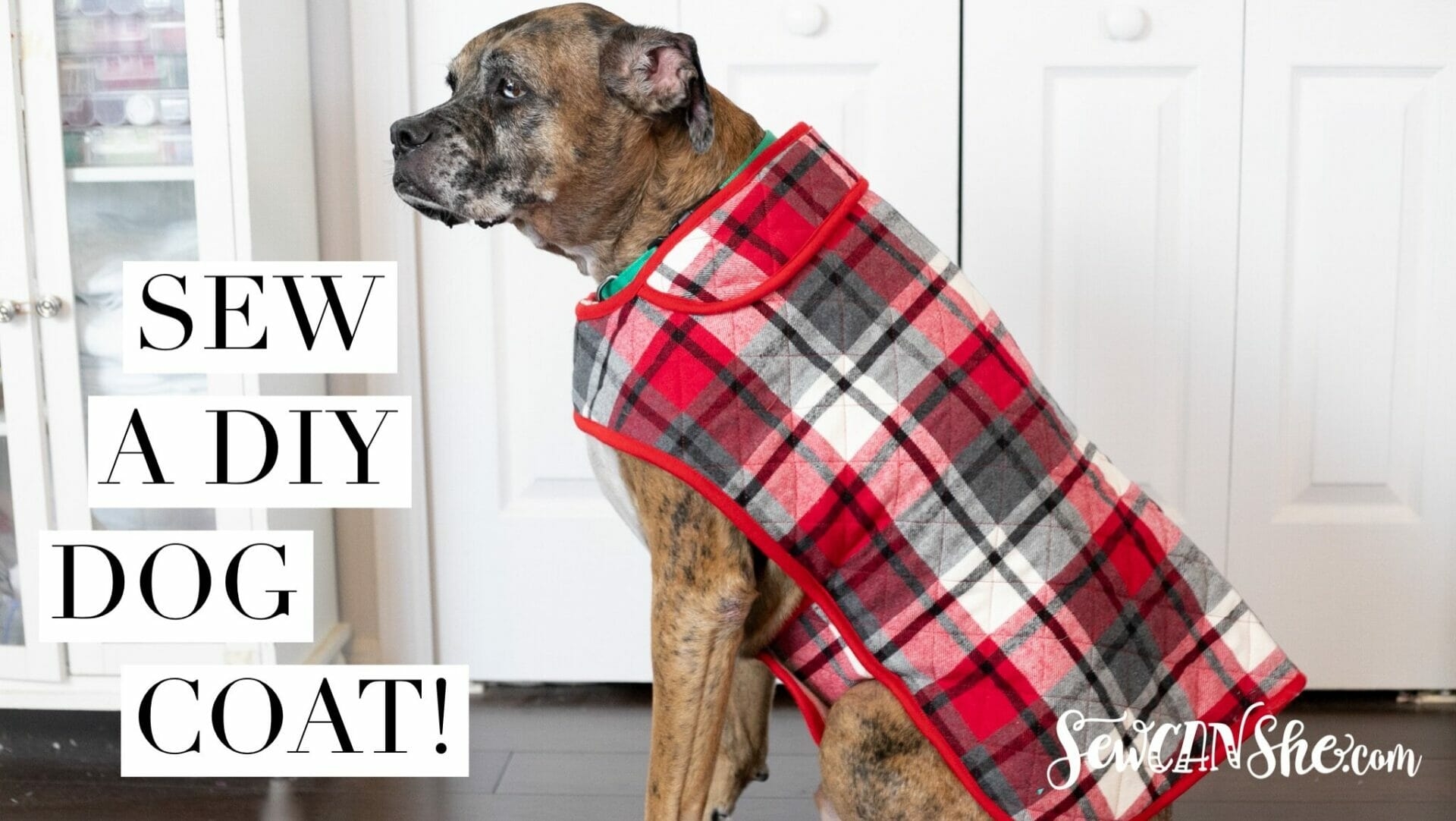 free printable dog coat pattern pdf