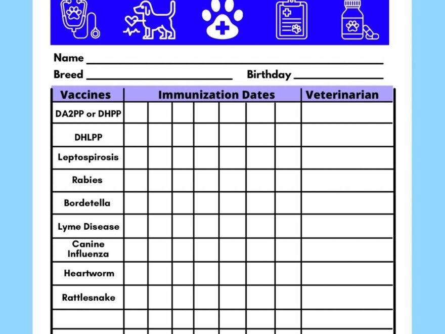 Dog Vaccine Printable Pet Printable Immunization Puppy Vaccinations Dog Health Digital Download Instant Download PDF Etsy