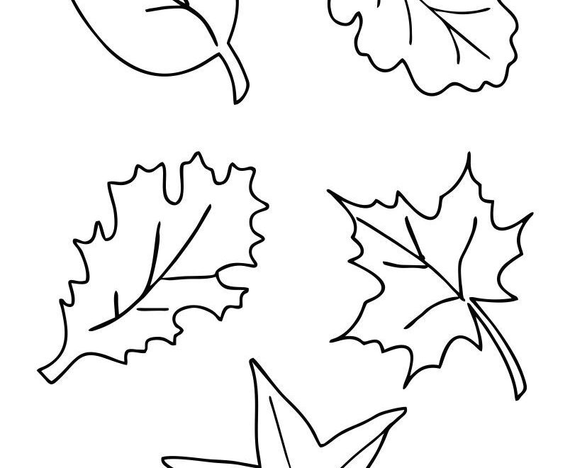 Fall Leaf Printables Printable Party Favors