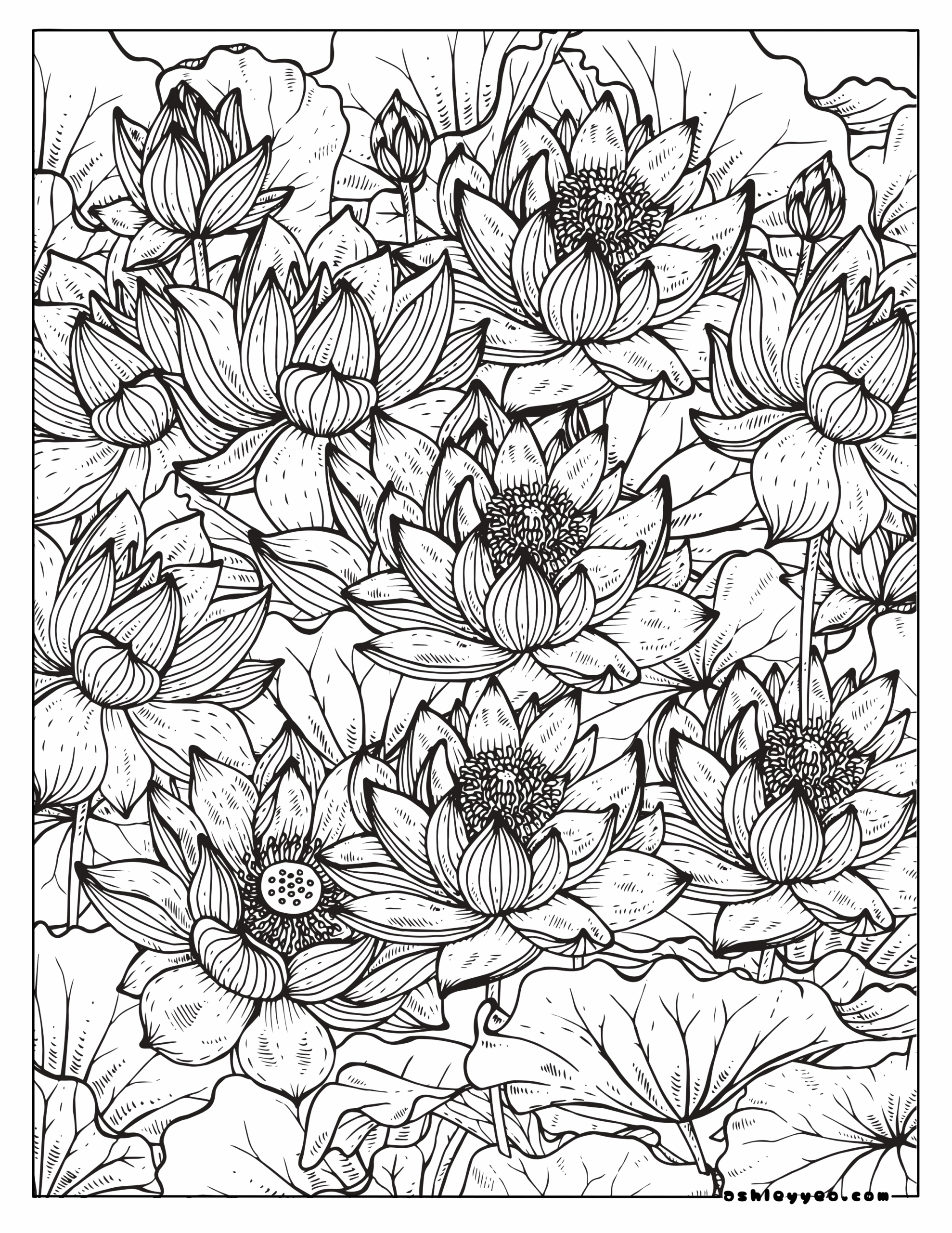 coloring pages for teens