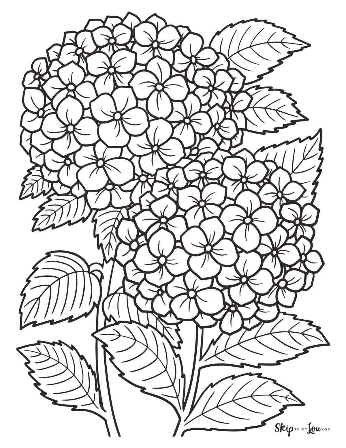 coloring pages for flowers printable