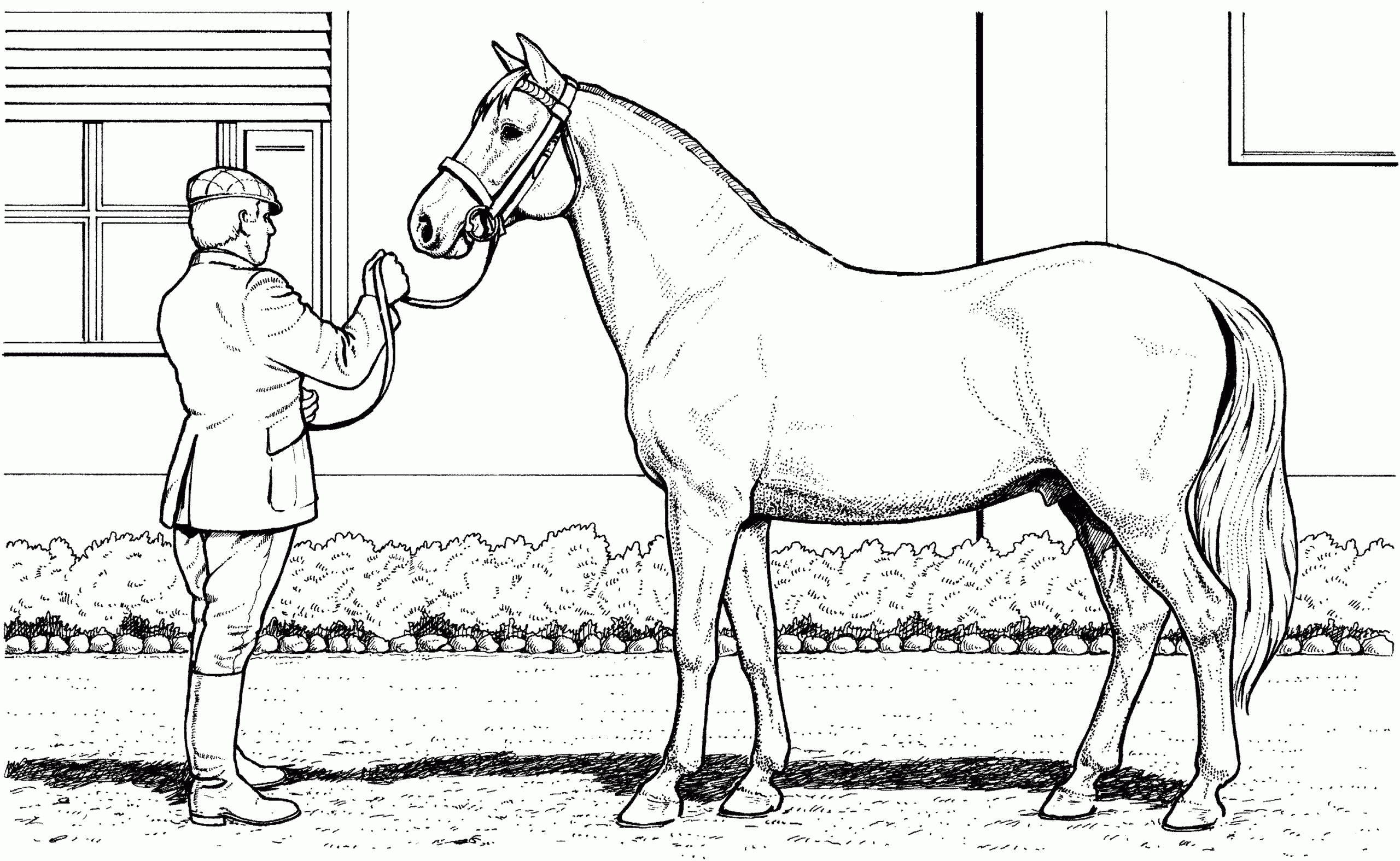 free horse printable coloring pages free horse printable coloring pages