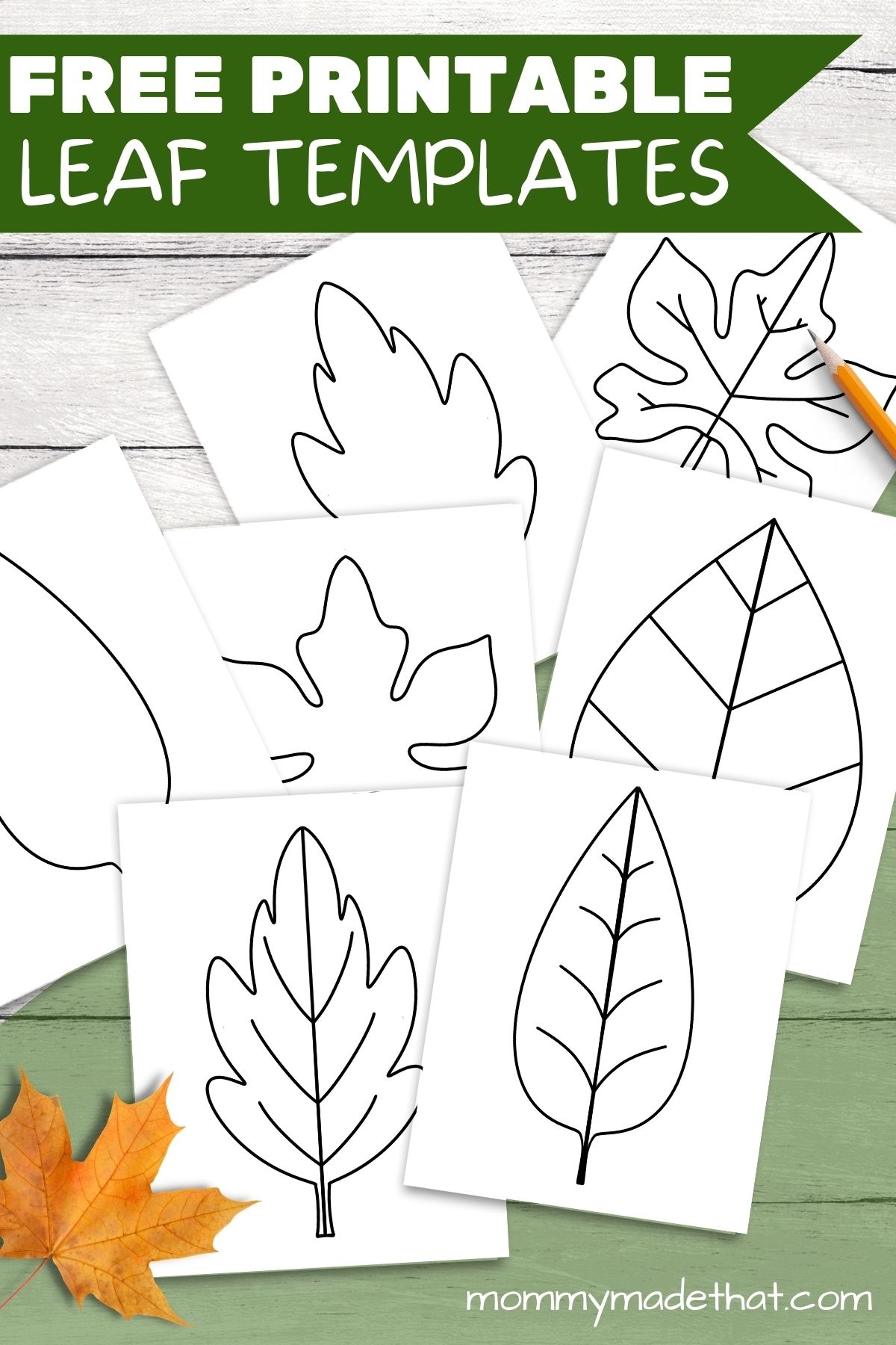large printable leaf patterns
