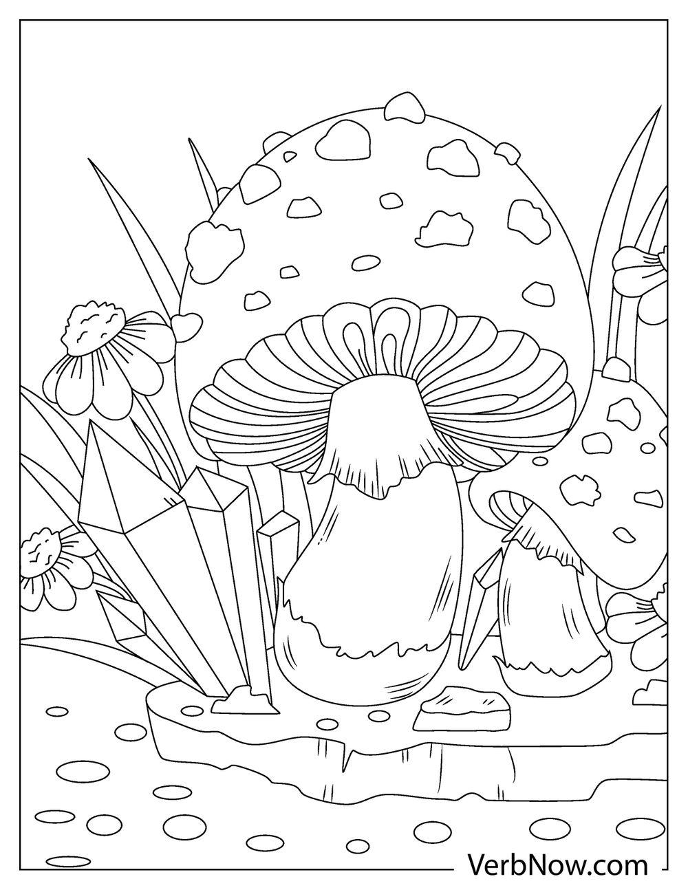 Free MUSHROOM Coloring Pages For Download Printable PDF 