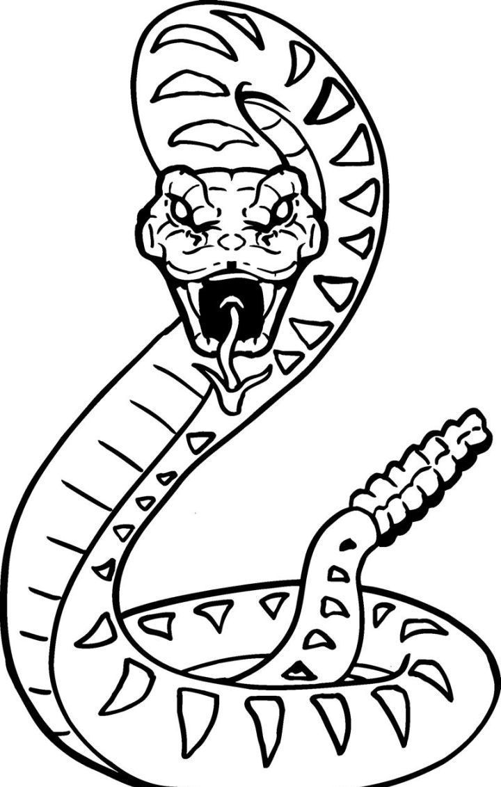 snake printable coloring pages