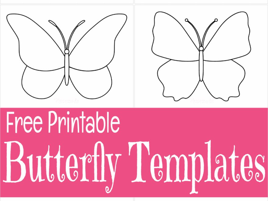 Free Printable Butterfly Templates Outlines