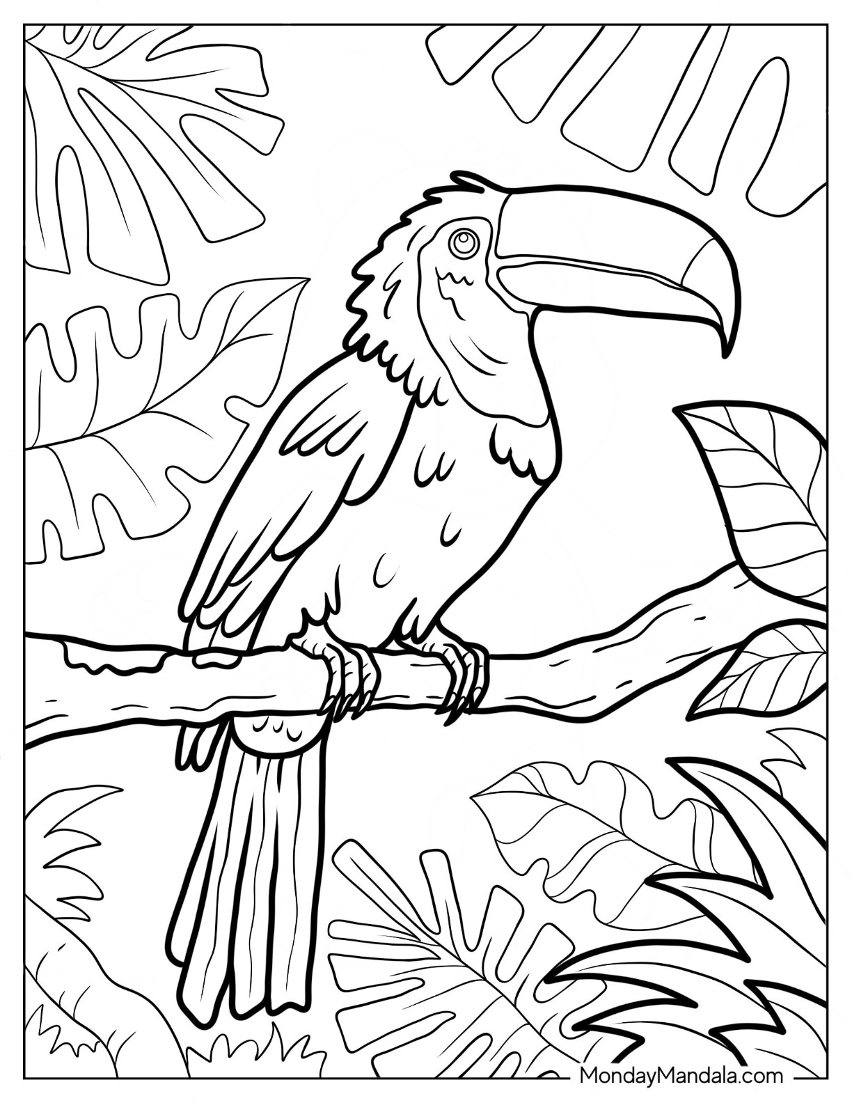 Free Printable Wild Animals Coloring Pages Worksheets Library