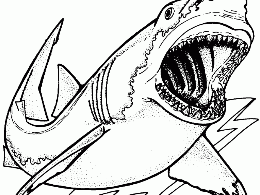 Free Shark Coloring Pages